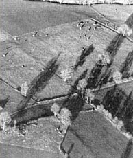 Woodhenge