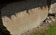 img-11