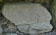 img-12